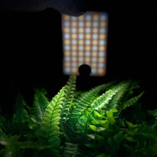 Mobile Phone Led Light